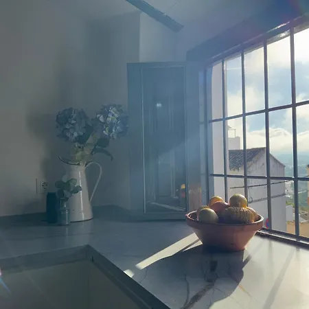 Lemon Tree Patio Ferienhaus Olvera