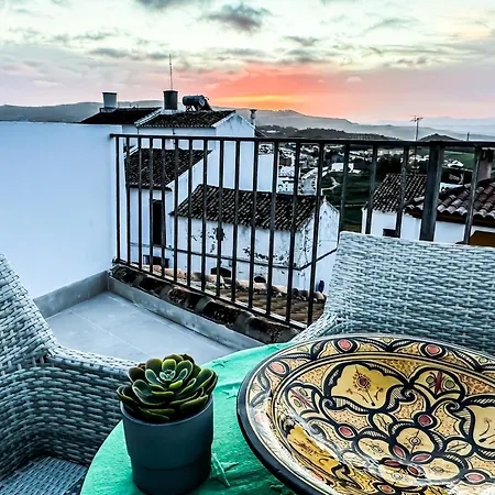 Lemon Tree Patio