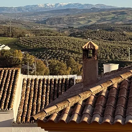 Lemon Tree Patio Holiday home Olvera